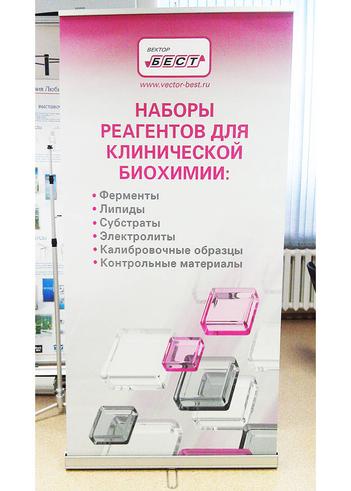 ролл ап цена