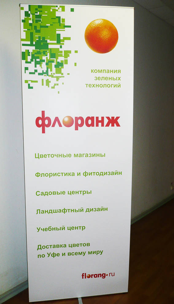 стенд solo maxibit